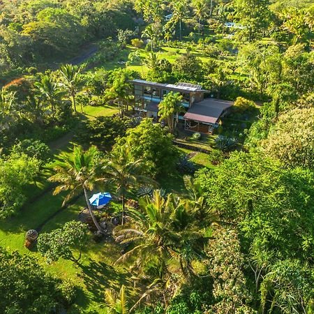 Jungle Haven Ocean Front Eco Villa On Fruit Farm Pahoa Eksteriør billede