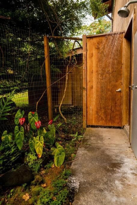 Jungle Haven Ocean Front Eco Villa On Fruit Farm Pahoa Eksteriør billede