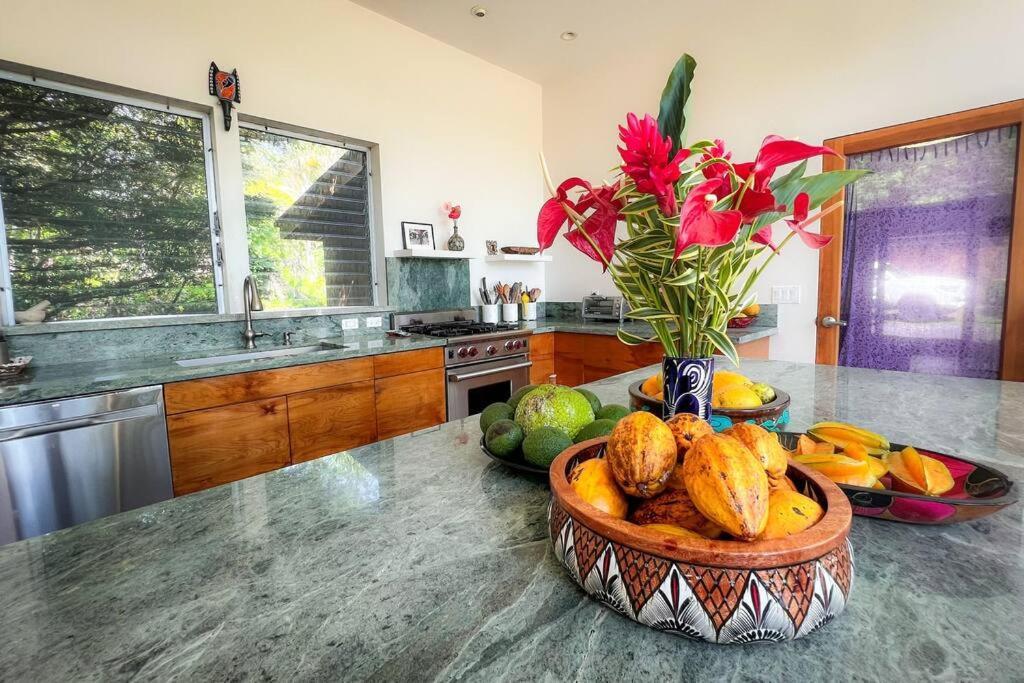 Jungle Haven Ocean Front Eco Villa On Fruit Farm Pahoa Eksteriør billede
