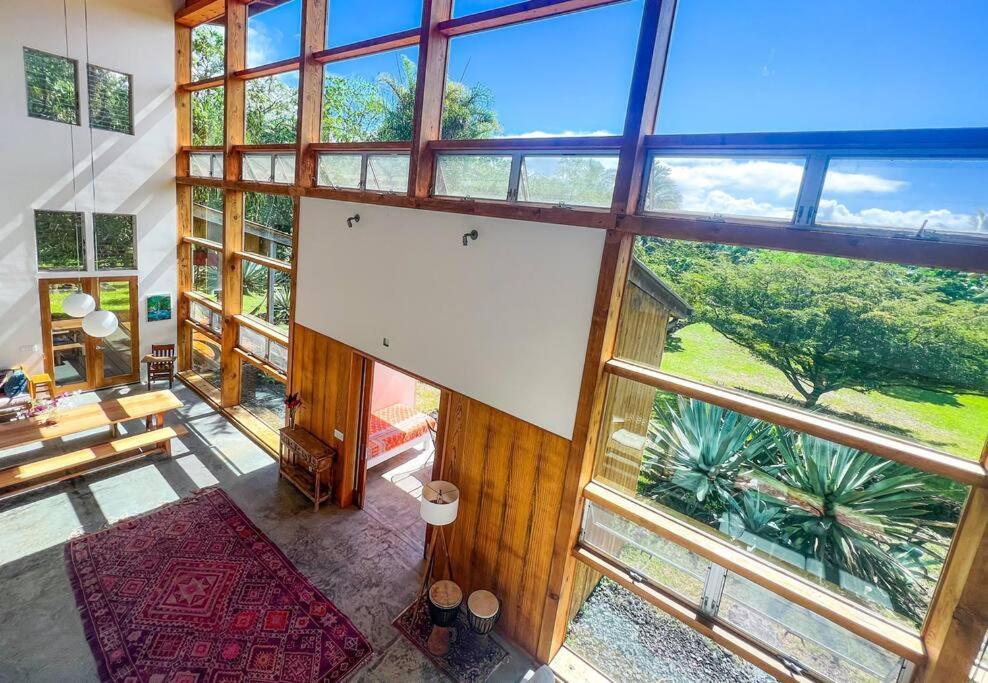 Jungle Haven Ocean Front Eco Villa On Fruit Farm Pahoa Eksteriør billede
