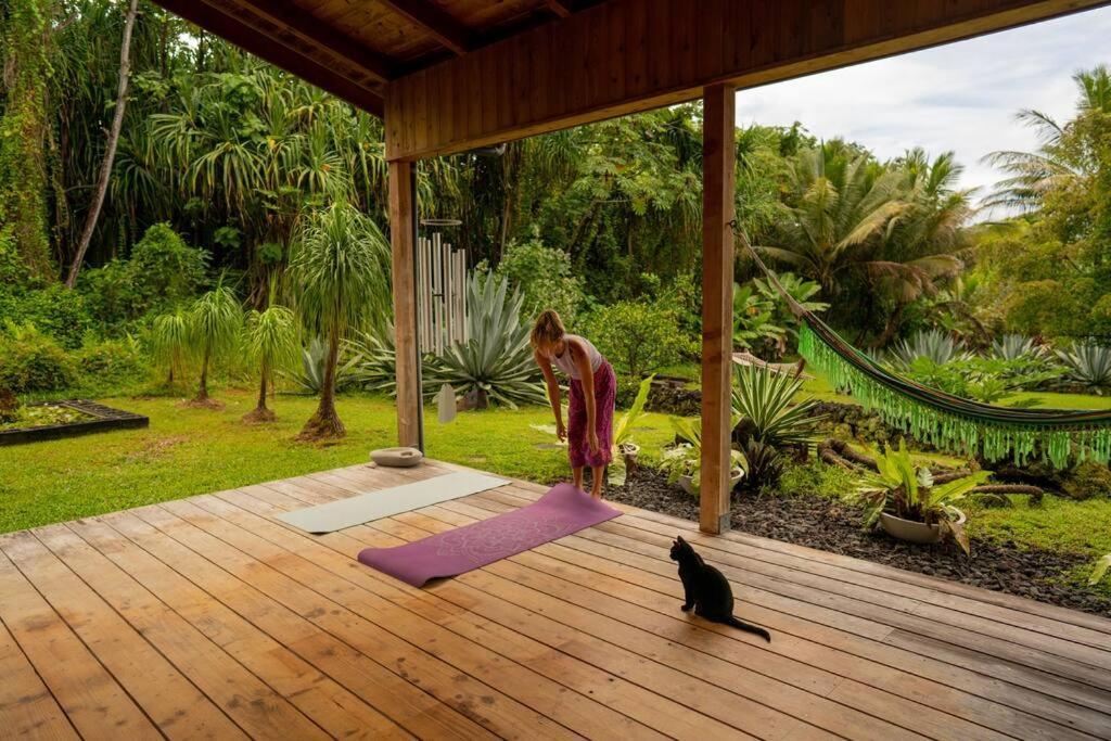 Jungle Haven Ocean Front Eco Villa On Fruit Farm Pahoa Eksteriør billede