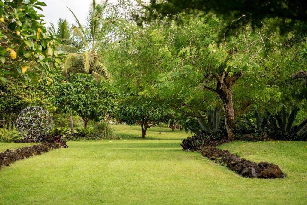 Jungle Haven Ocean Front Eco Villa On Fruit Farm Pahoa Eksteriør billede