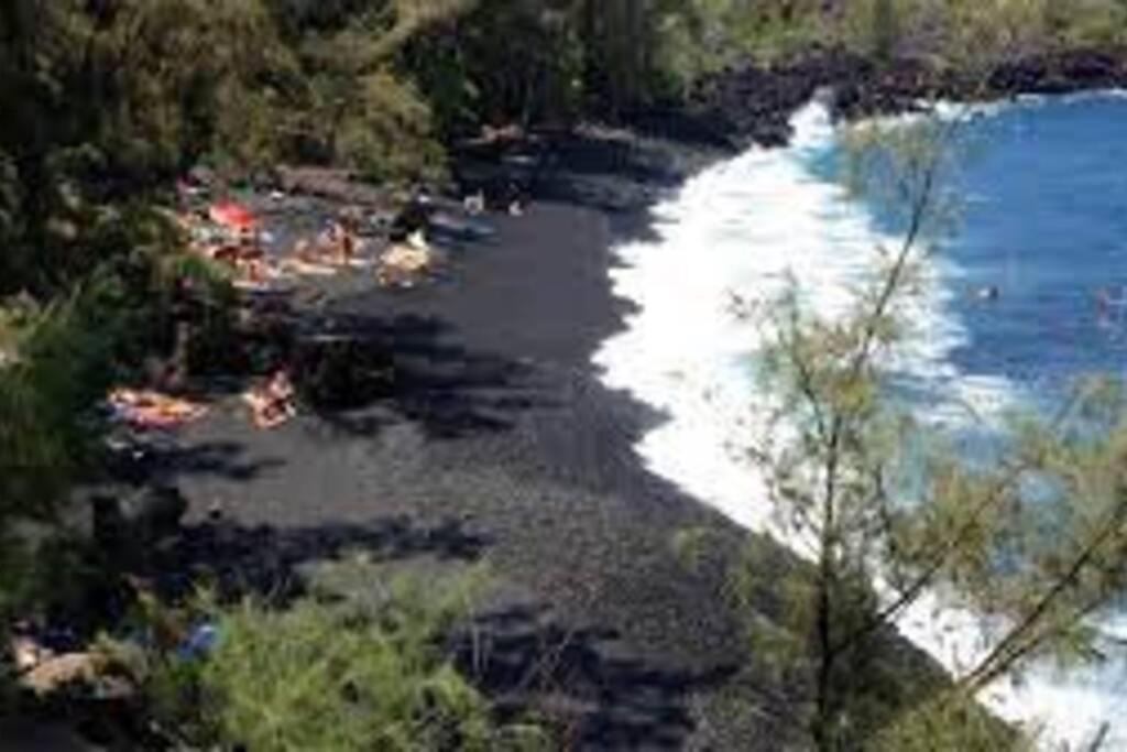 Jungle Haven Ocean Front Eco Villa On Fruit Farm Pahoa Eksteriør billede