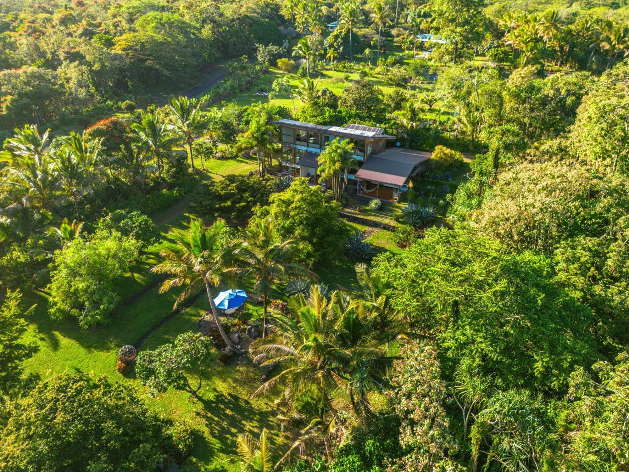 Jungle Haven Ocean Front Eco Villa On Fruit Farm Pahoa Eksteriør billede
