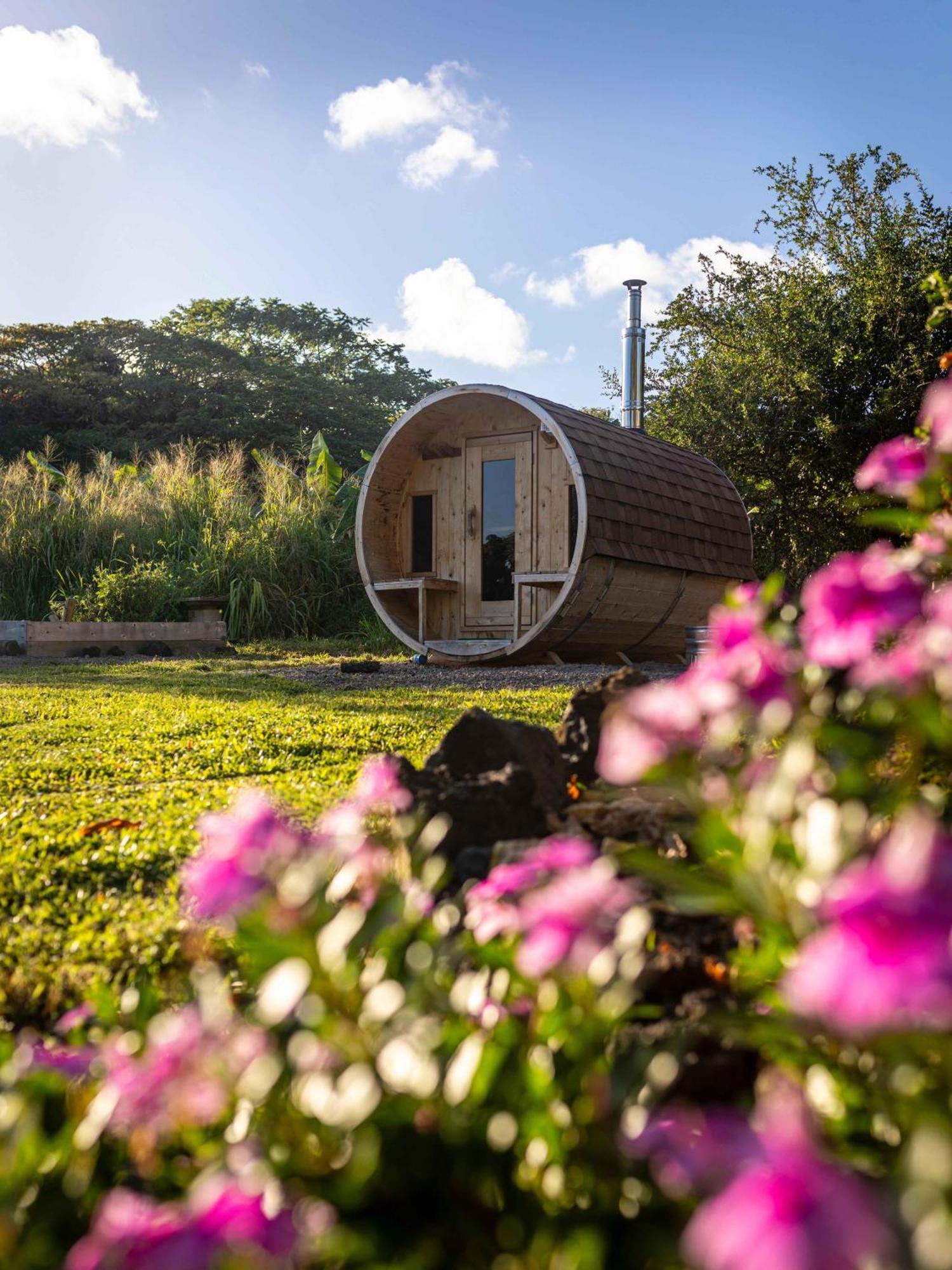 Jungle Haven Ocean Front Eco Villa On Fruit Farm Pahoa Eksteriør billede