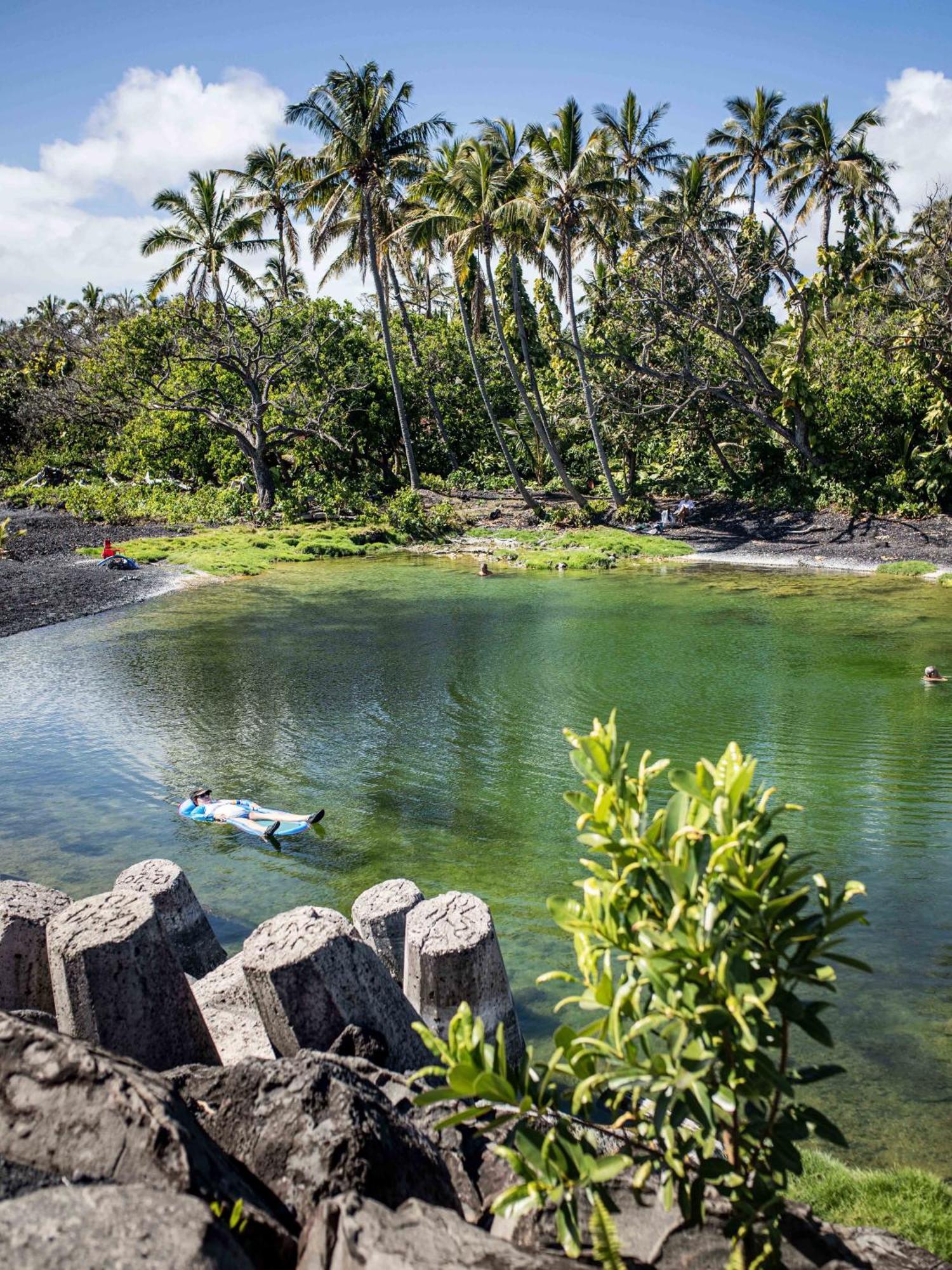 Jungle Haven Ocean Front Eco Villa On Fruit Farm Pahoa Eksteriør billede