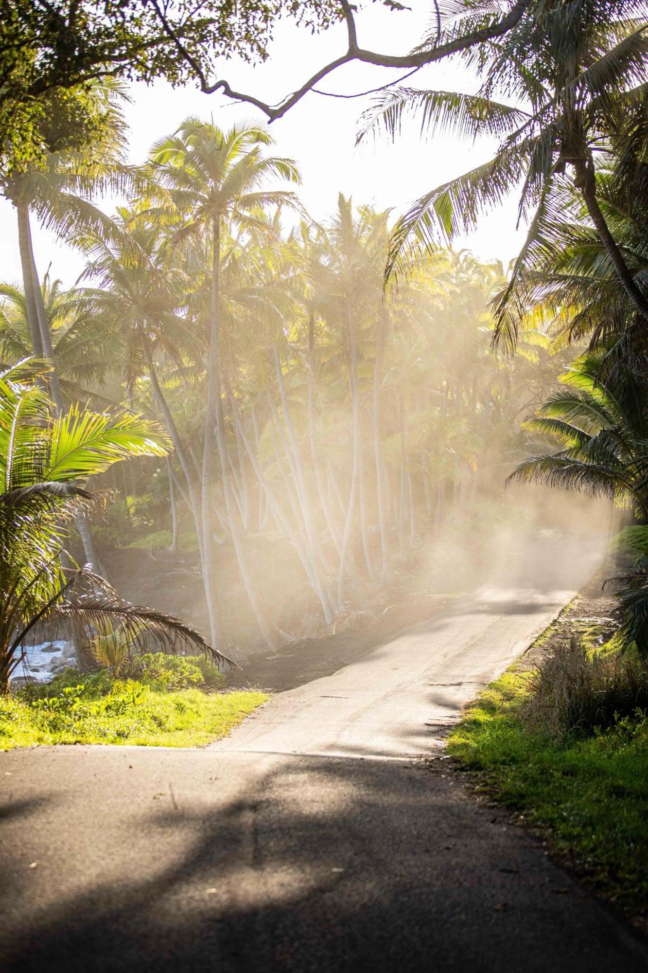 Jungle Haven Ocean Front Eco Villa On Fruit Farm Pahoa Eksteriør billede